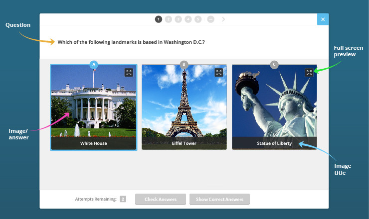 hwb_quizzes-image-mcq-en-image-mcq1.jpg
